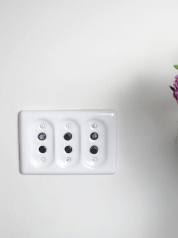reproduction push button light switches on a white wall. Stained wood trim is 4 inches to the left and a colorful dried peony arrangement is to the right.