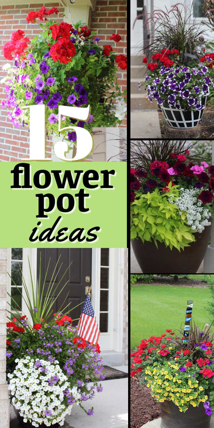 15+ Front Porch Plants and Flower Pot Ideas - Momcrieff