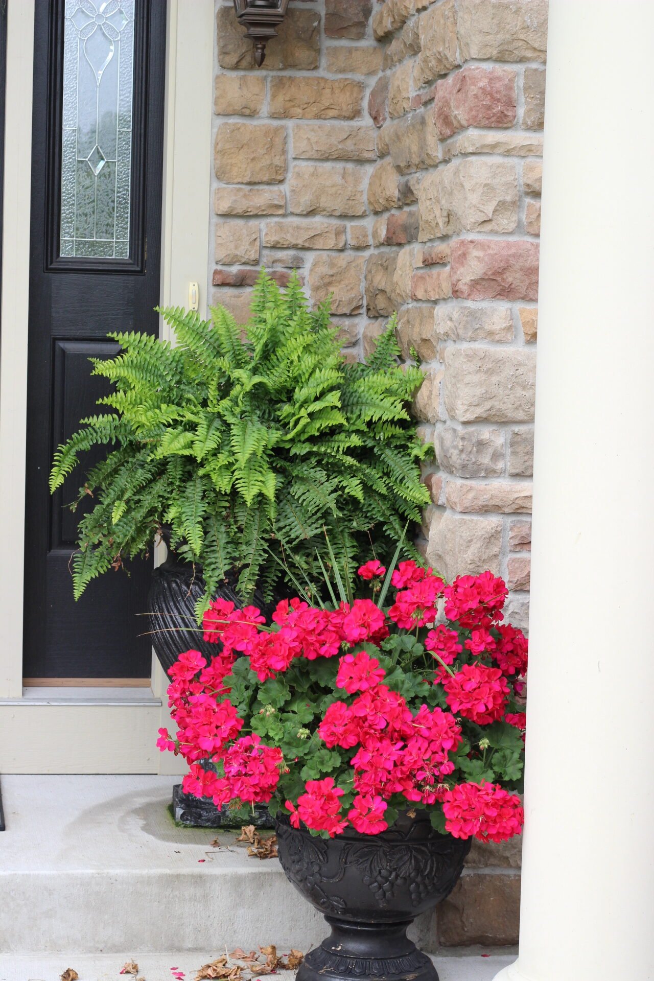 A planter on the lower stair containing red geraniums.  The planter on the upper stair contained a fern.