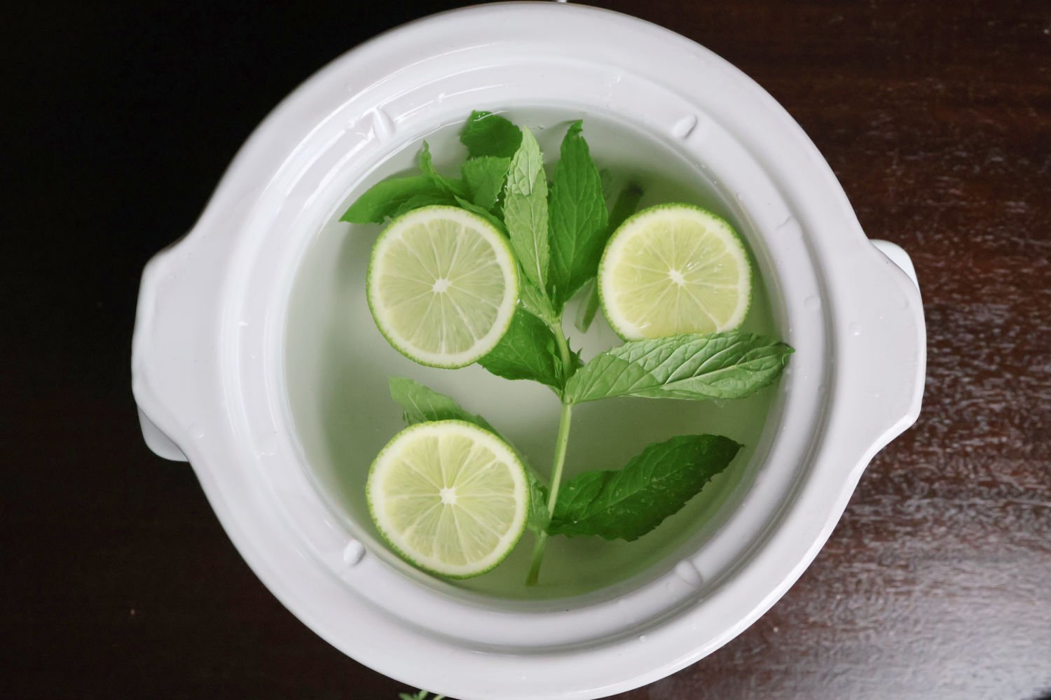 lime slices and fresh mint leaves floating on clean water as a mojito inspired simmer pot.