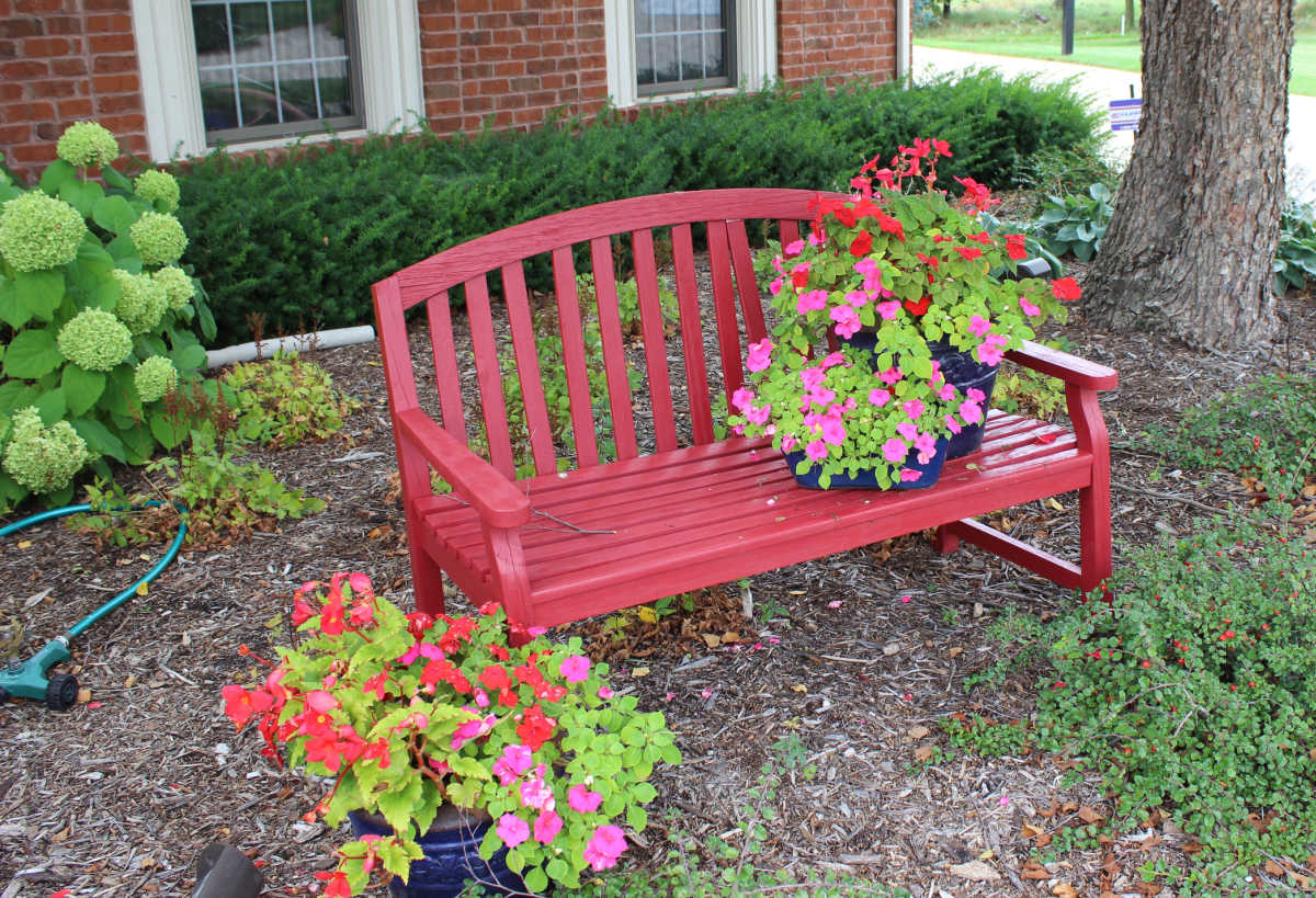 Red bench with pots of flowering red and pink flowers.