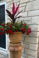 A beautiful planter with red flowers and a red leafy tall plant. This is set atop of an old chimney flue.