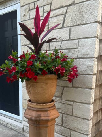 A beautiful planter with red flowers and a red leafy tall plant. This is set atop of an old chimney flue.