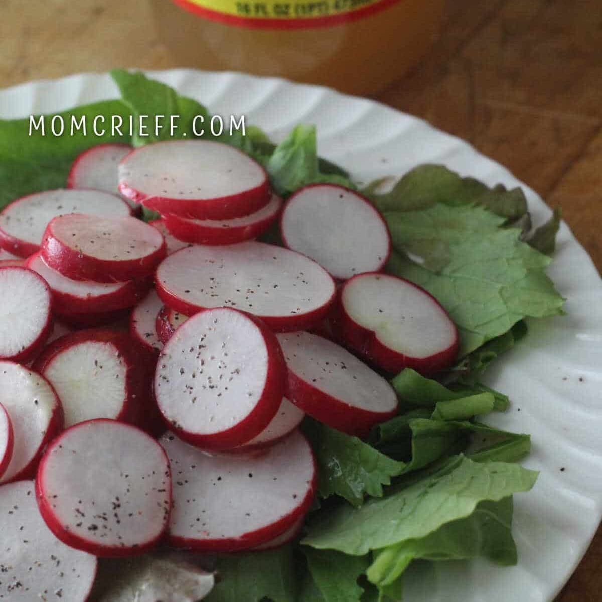 sliced radishes on a bed of lettuce