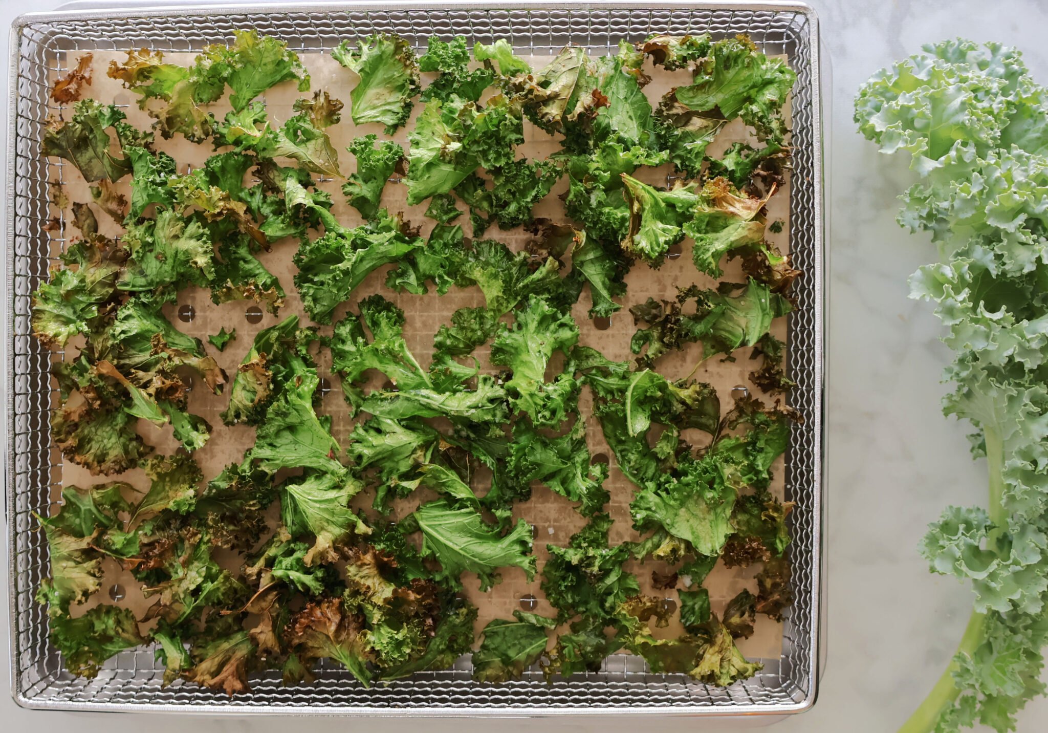 Kale roasted in an air fryer. Stalk of fresh kale beside air fryer basket.