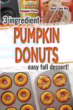 These pumpkin spice donuts are soft, flavorful, and made with just three ingredients! The perfect easy fall treat using cake mix. Title says 3 ingredient pumpkin donuts, easy fall dessert.