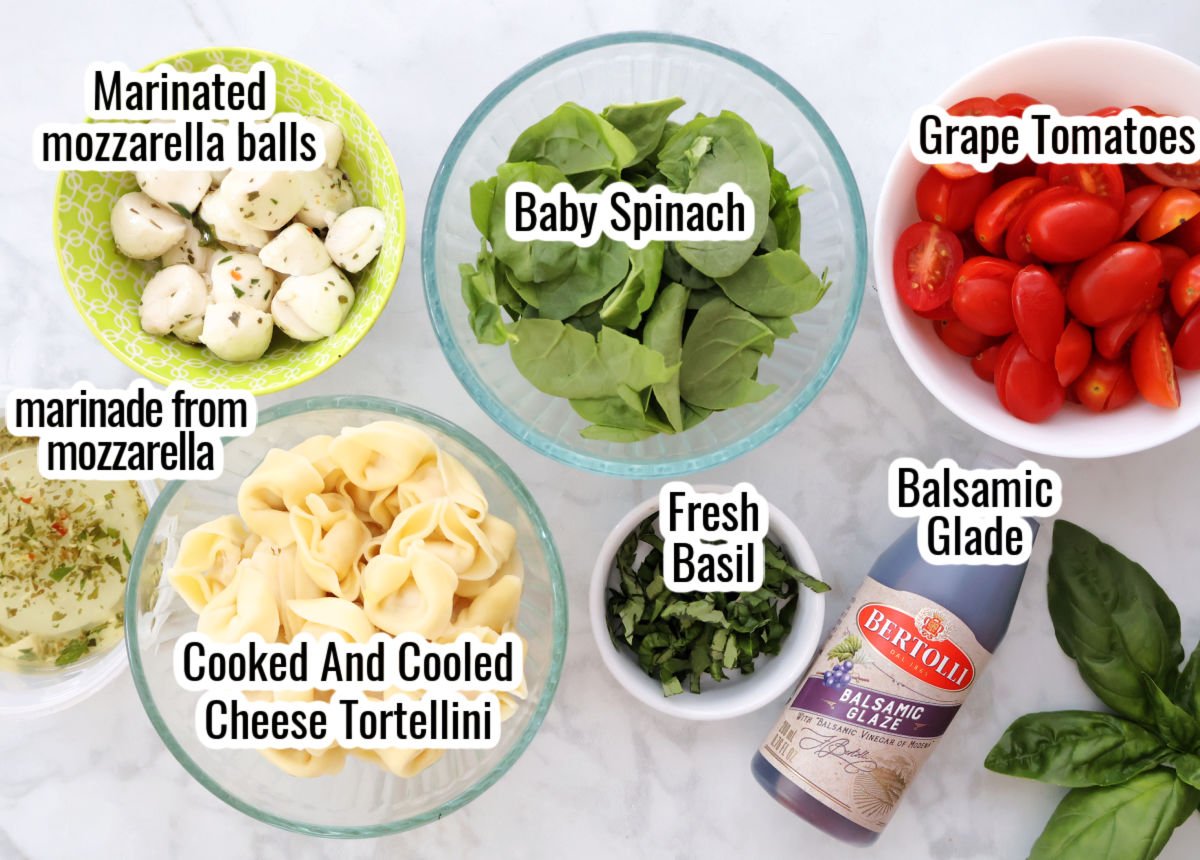 A fresh and colorful tortellini Caprese salad with cherry tomatoes, mozzarella balls, baby spinach, and basil, drizzled with balsamic glaze. Served cold as a summer pasta salad.