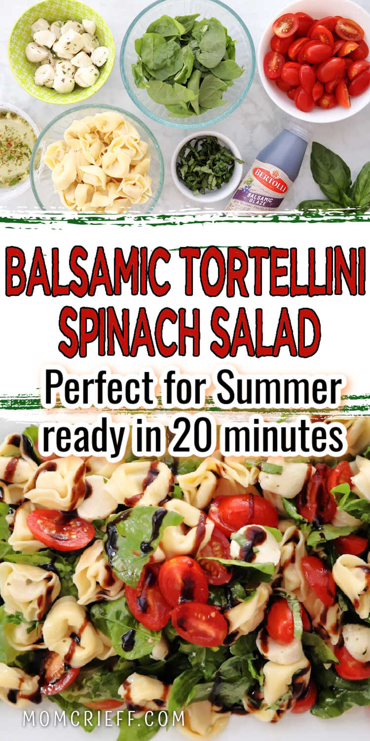 A fresh and colorful tortellini Caprese salad with cherry tomatoes, mozzarella balls, baby spinach, and basil, drizzled with balsamic glaze. Served cold as a summer pasta salad.