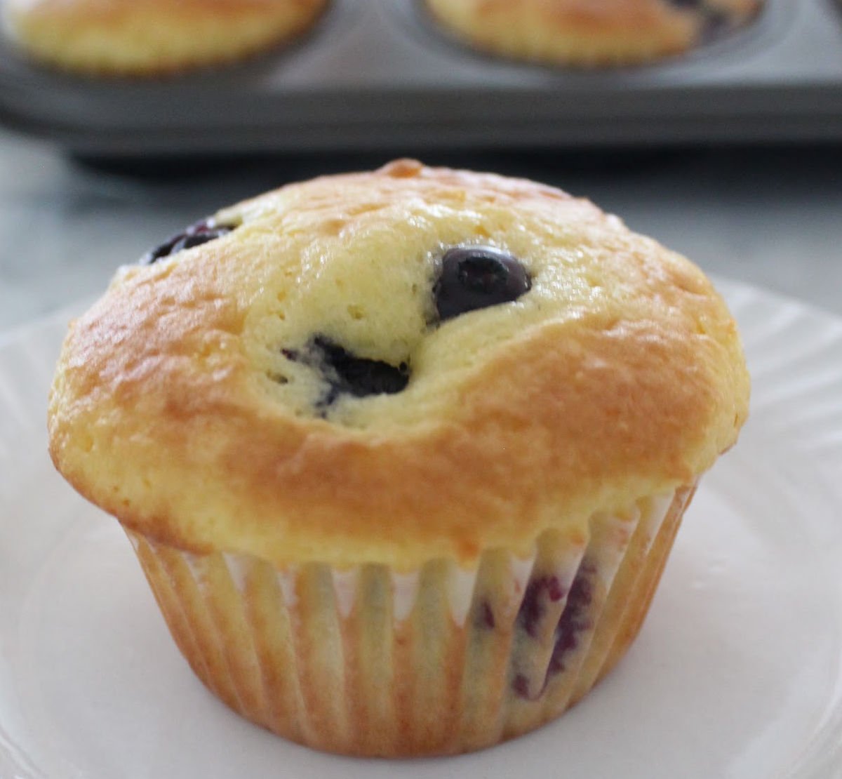 A single blueberry muffin in front of a muffin tin of freshly baked cake mix blueberry muffins.
