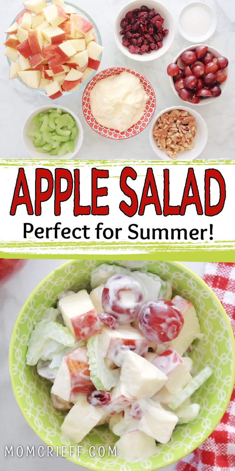 Ingredients for Apple Salad and a bowl of apple salad ready to eat. Overlay says Apple Salad Prefect for Summer.